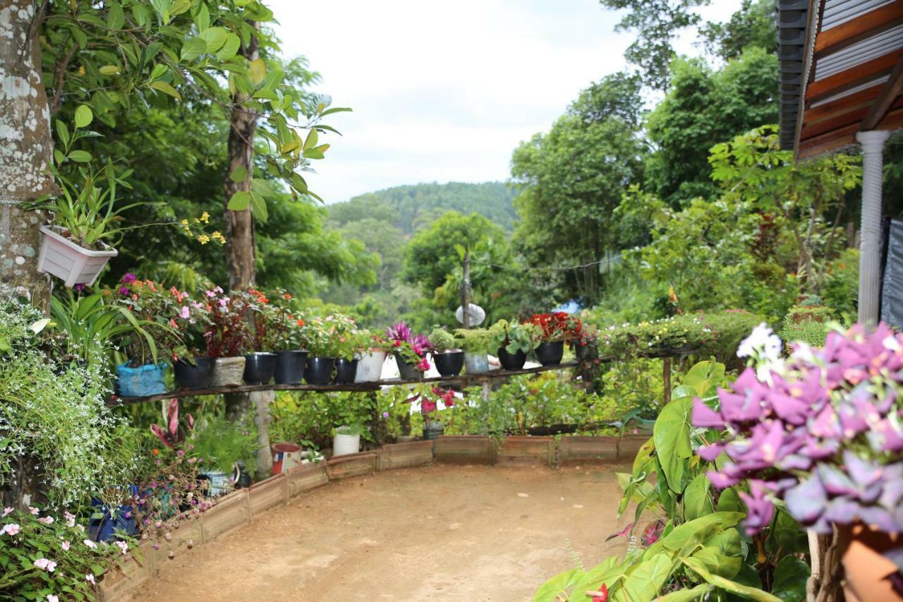 Secret Nest Homestay Ella Exterior foto